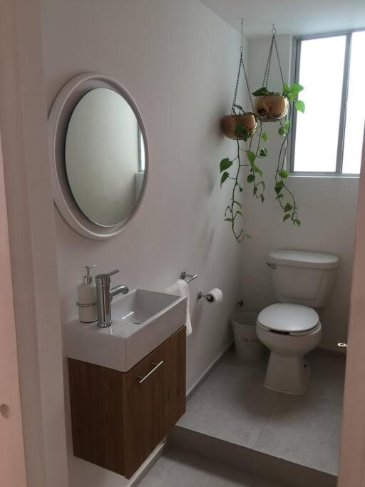 Cozy Apartment In Condesa'S Heart ! Città del Messico Esterno foto
